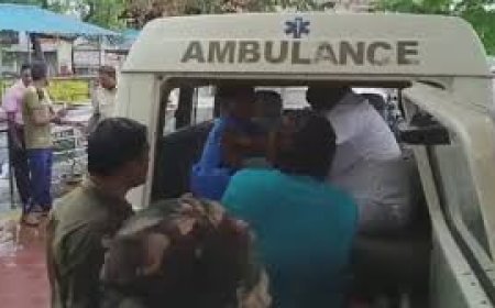 শ্যামাপ্রসাদের জন্মদিনে পতাকা উত্তোলনের সময় মর্মান্তিক ঘটনা, মৃত্যু বিজেপি কর্মীর!
